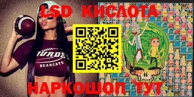 молекула духа Будённовск