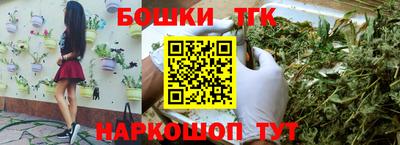 молекула духа Будённовск