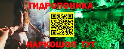 стафф Бузулук